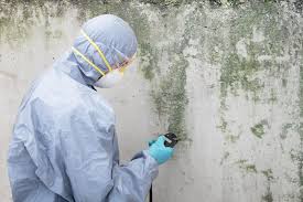 Best Residential Mold Inspection & Testing in USA